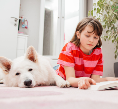 A05F51E5-673E-438F-A408-A62E8E7E34FB-1-384x354-0