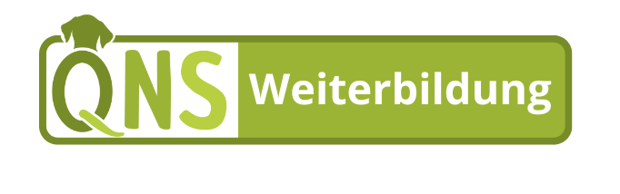 QNS Neue Logos - Version 2 Fett